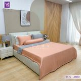  Bộ Chăn Ga Lụa Tencel Coolsilk TCS2800 