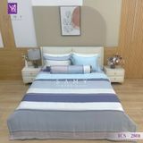  Bộ Chăn Ga Lụa Tencel Coolsilk TCS2801 