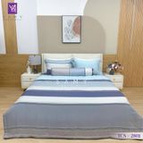  Bộ Chăn Ga Lụa Tencel Coolsilk TCS2801 