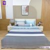  Bộ Chăn Ga Lụa Tencel Coolsilk TCS2801 