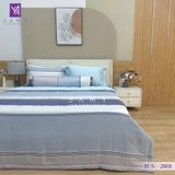 Bộ Chăn Ga Lụa Tencel Coolsilk TCS2801 