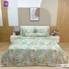  Bộ Chăn Ga Lụa Tencel Silk Protein TSP4137 
