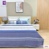  Bộ Chăn Ga Lụa Tencel Coolsilk TCS2802 