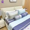  Bộ Chăn Ga Lụa Tencel Coolsilk TCS2802 