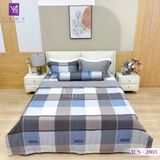  Bộ Chăn Ga Lụa Tencel Coolsilk TCS2803 