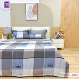  Bộ Chăn Ga Lụa Tencel Coolsilk TCS2803 