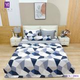  Bộ Chăn Ga Lụa Tencel Coolsilk TCS2804 