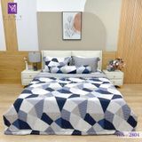  Bộ Chăn Ga Lụa Tencel Coolsilk TCS2804 