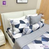  Bộ Chăn Ga Lụa Tencel Coolsilk TCS2804 