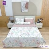  Bộ Chăn Ga Lụa Tencel Coolsilk TCS2805 