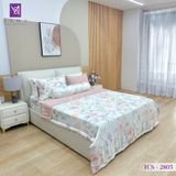  Bộ Chăn Ga Lụa Tencel Coolsilk TCS2805 