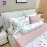  Bộ Chăn Ga Lụa Tencel Coolsilk TCS2805 