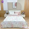  Bộ Chăn Ga Lụa Tencel Coolsilk TCS2805 