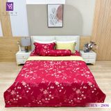  Bộ Chăn Ga Lụa Tencel Coolsilk TCS2806 