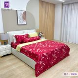  Bộ Chăn Ga Lụa Tencel Coolsilk TCS2806 