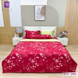 Bộ Chăn Ga Lụa Tencel Coolsilk TCS2806 