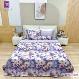  Bộ Chăn Ga Lụa Tencel Coolsilk TCS2807 