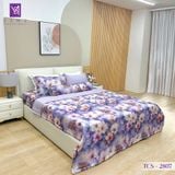  Bộ Chăn Ga Lụa Tencel Coolsilk TCS2807 