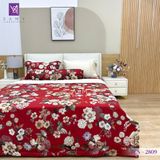  Bộ Chăn Ga Lụa Tencel Coolsilk TCS2809 