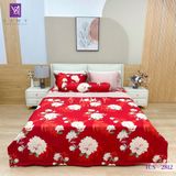  Bộ Chăn Ga Lụa Tencel Coolsilk TCS2812 