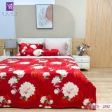  Bộ Chăn Ga Lụa Tencel Coolsilk TCS2812 