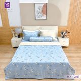  Bộ Chăn Ga Lụa Tencel Coolsilk TCS2815 