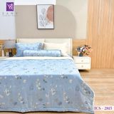  Bộ Chăn Ga Lụa Tencel Coolsilk TCS2815 