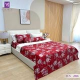  Bộ Chăn Ga Lụa Tencel Coolsilk TCS2816 