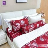  Bộ Chăn Ga Lụa Tencel Coolsilk TCS2816 