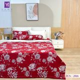  Bộ Chăn Ga Lụa Tencel Coolsilk TCS2816 