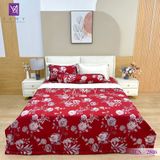  Bộ Chăn Ga Lụa Tencel Coolsilk TCS2816 