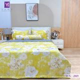  Bộ Chăn Ga Lụa Tencel Coolsilk TCS2819 