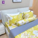  Bộ Chăn Ga Lụa Tencel Coolsilk TCS2819 