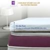  Nệm Topper Foam Samy Crystal 2 Lớp Foam Cao Cấp Êm Mềm Nâng Đỡ Tối Ưu 