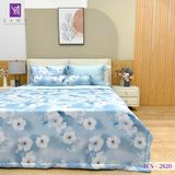  Bộ Chăn Ga Lụa Tencel Coolsilk TCS2820 