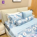  Bộ Chăn Ga Lụa Tencel Coolsilk TCS2820 