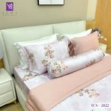  Bộ Chăn Ga Lụa Tencel Coolsilk TCS2822 