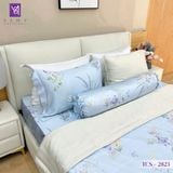  Bộ Chăn Ga Lụa Tencel Coolsilk TCS2823 