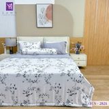  Bộ Chăn Ga Lụa Tencel Coolsilk TCS2824 
