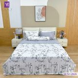  Bộ Chăn Ga Lụa Tencel Coolsilk TCS2824 