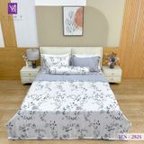  Bộ Chăn Ga Lụa Tencel Coolsilk TCS2824 