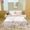  Bộ Chăn Ga Lụa Tencel Coolsilk TCS2825 