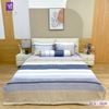  Bộ Chăn Ga Lụa Tencel Coolsilk TCS2826 