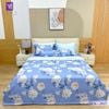  Bộ Chăn Ga Lụa Tencel Coolsilk TCS2827 