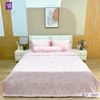  Bộ Chăn Ga Lụa Tencel Coolsilk TCS2829 