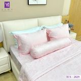  Bộ Chăn Ga Lụa Tencel Coolsilk TCS2829 