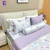  Bộ Chăn Ga Lụa Tencel Coolsilk TCS2830 