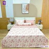  Bộ Chăn Ga Lụa Tencel Coolsilk TCS2831 