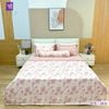  Bộ Chăn Ga Lụa Tencel Coolsilk TCS2831 