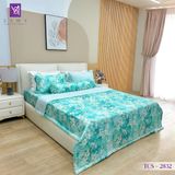  Bộ Chăn Ga Lụa Tencel Coolsilk TCS2832 